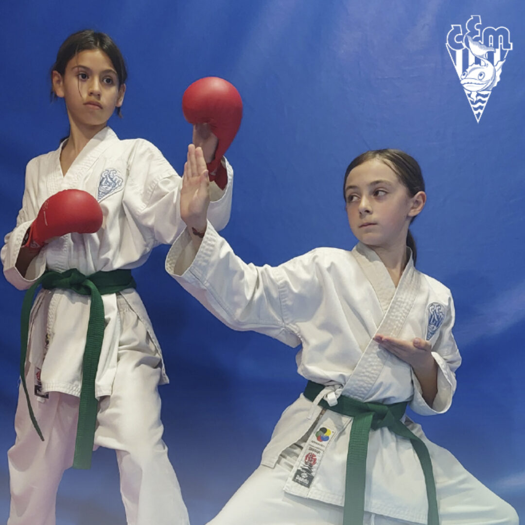 Inscriu-te a karate per setembre i gaudeix de juliol gratuït – juny 2024