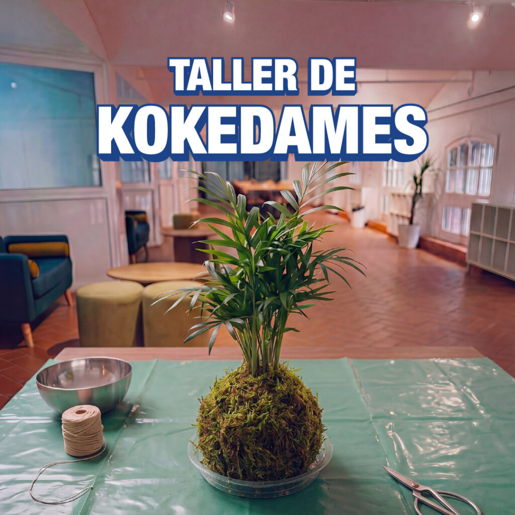 Taller de Kokedames